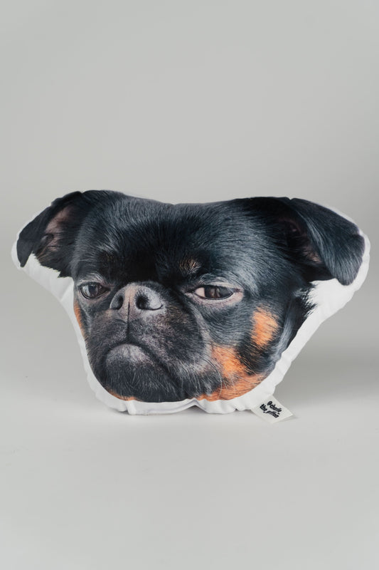 Charlie Griffon Merchandise: Buy T-Shirts, Hoodies, and Pillows Featuring the Famous Grumpy Dog Meme