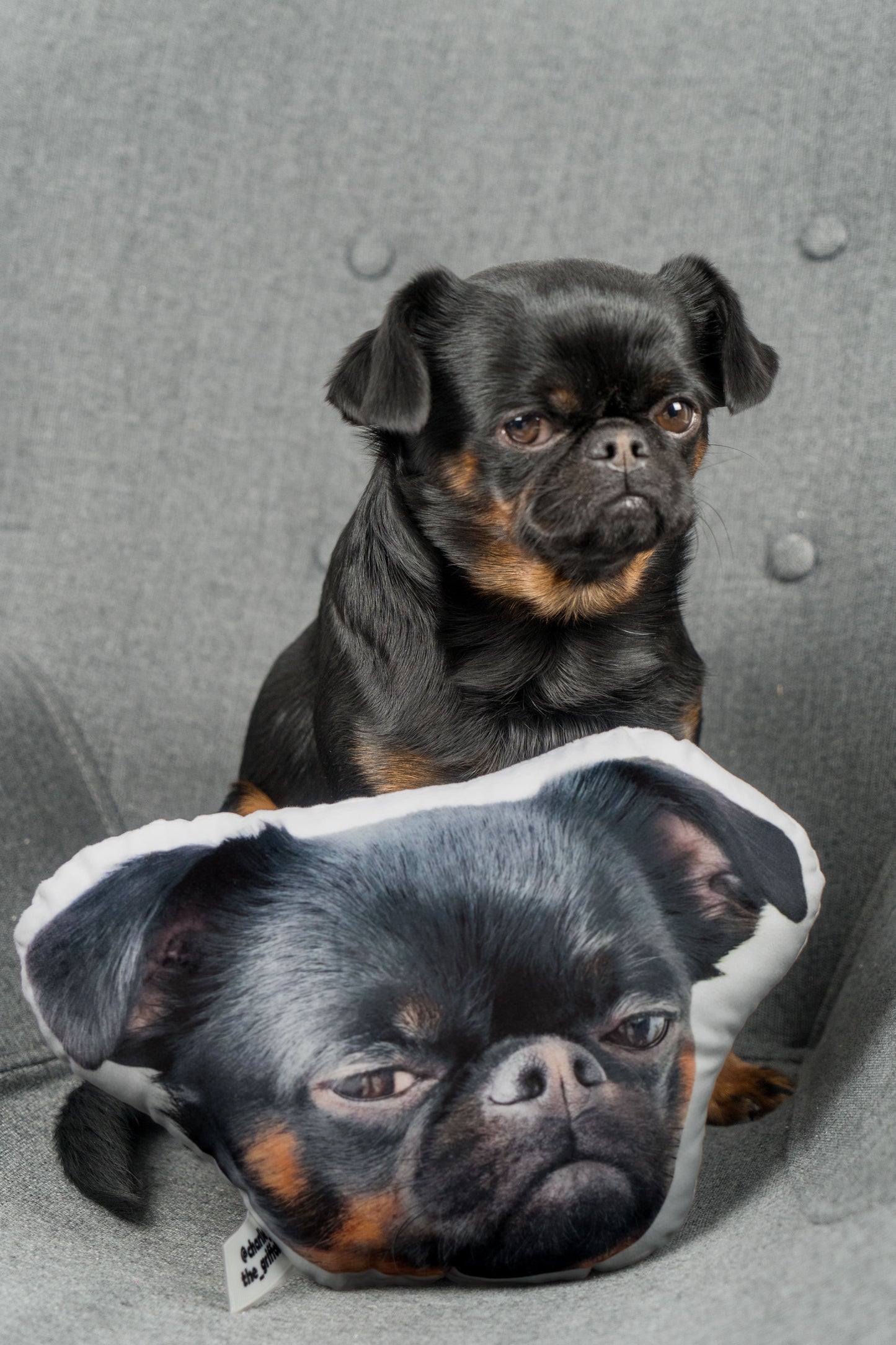 Charlie Griffon Head-Shaped Pillow