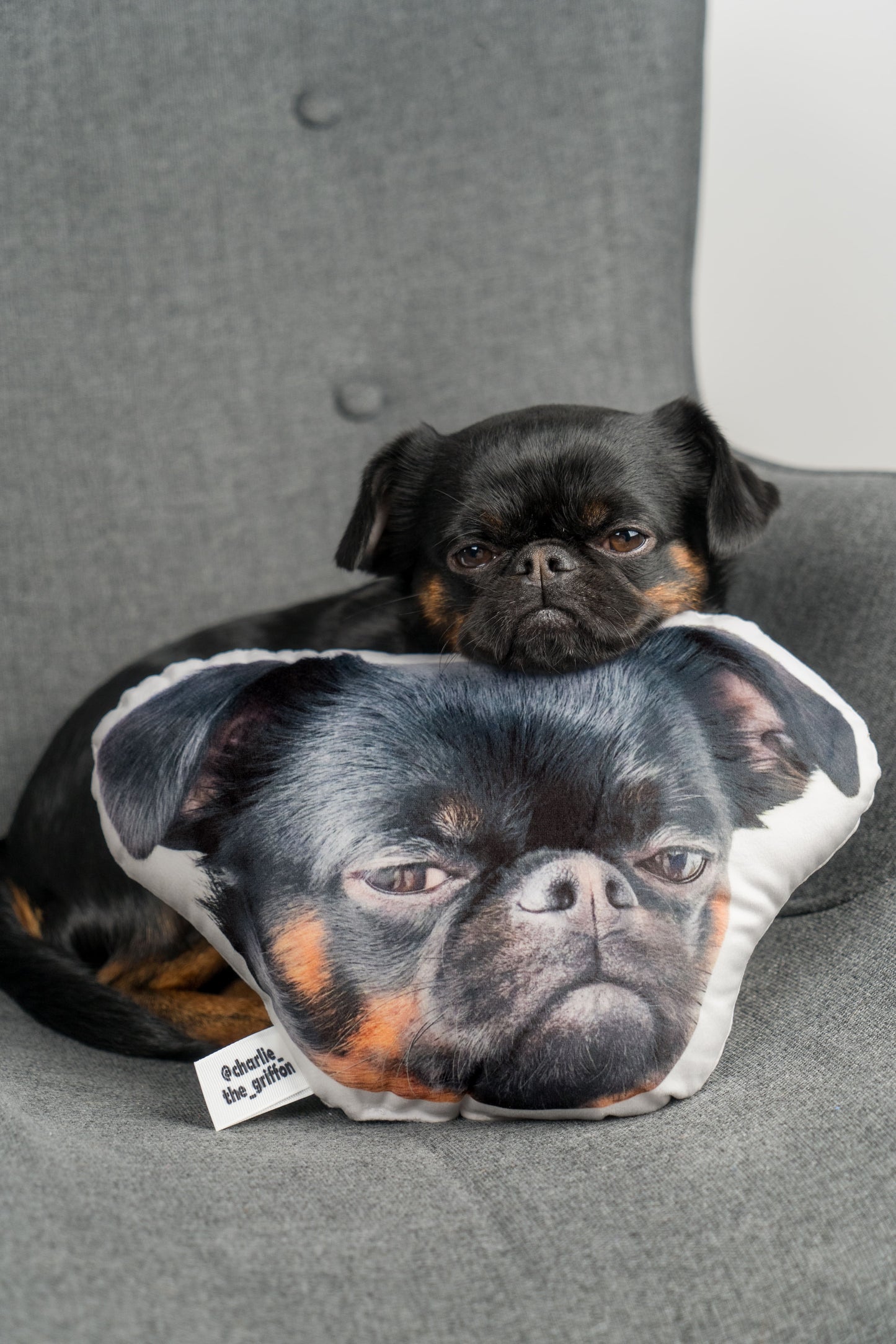 Charlie Griffon Head-Shaped Pillow