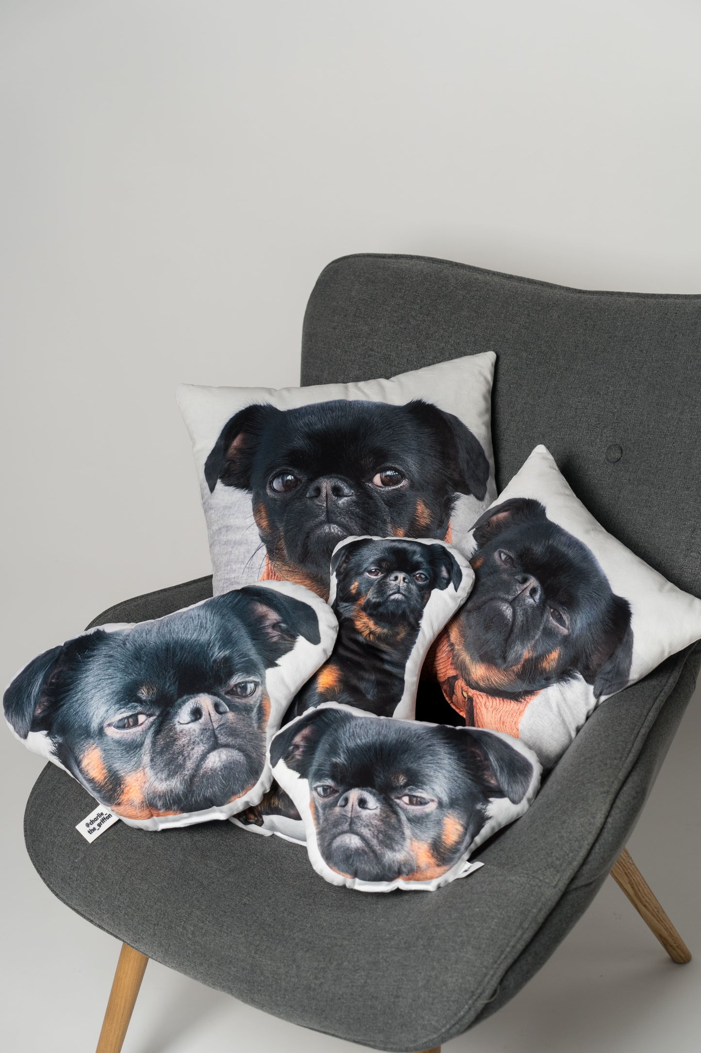 Charlie Griffon Head-Shaped Pillow