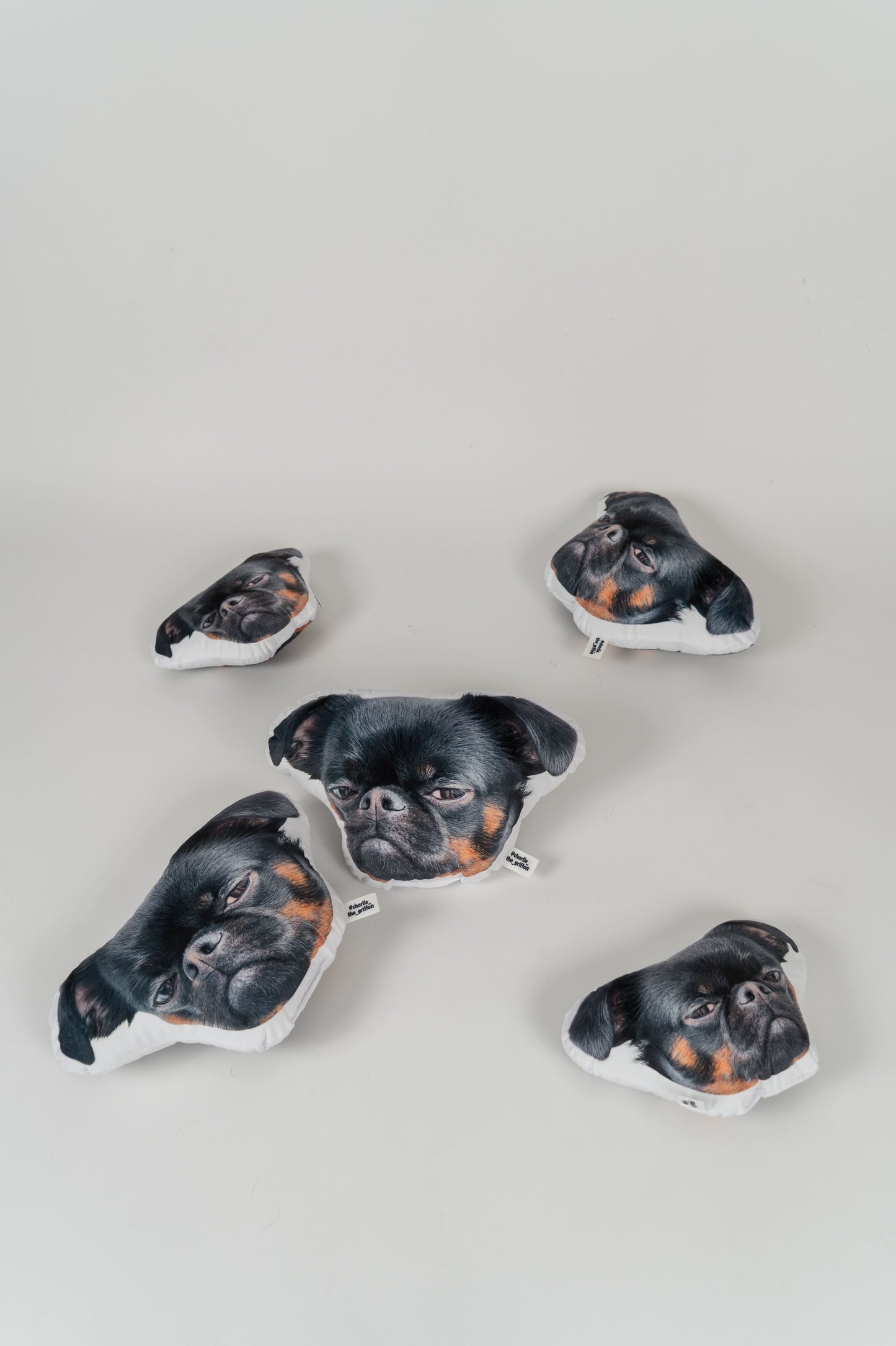 Charlie Griffon Head-Shaped Pillow