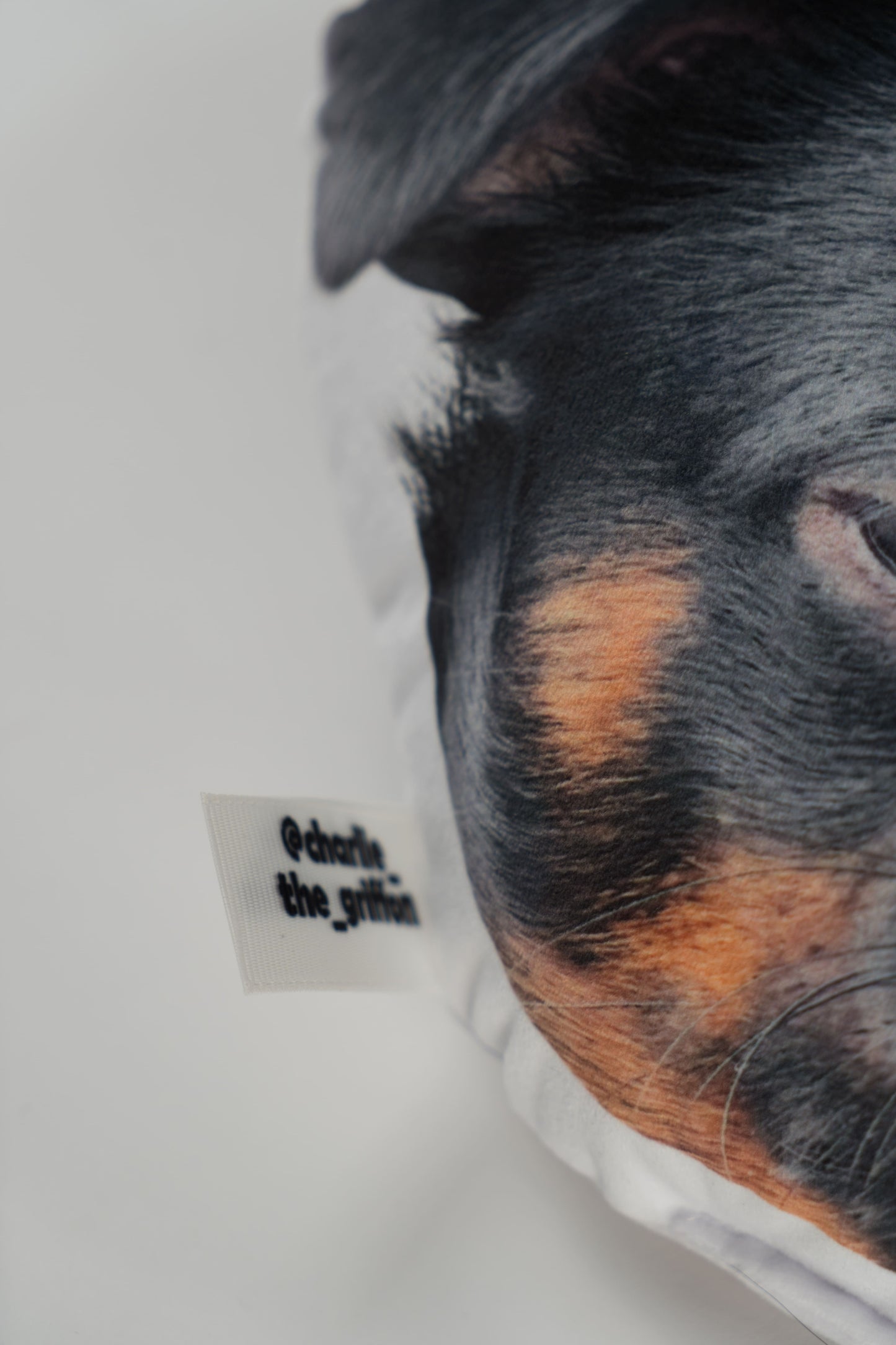 Charlie Griffon Head-Shaped Pillow