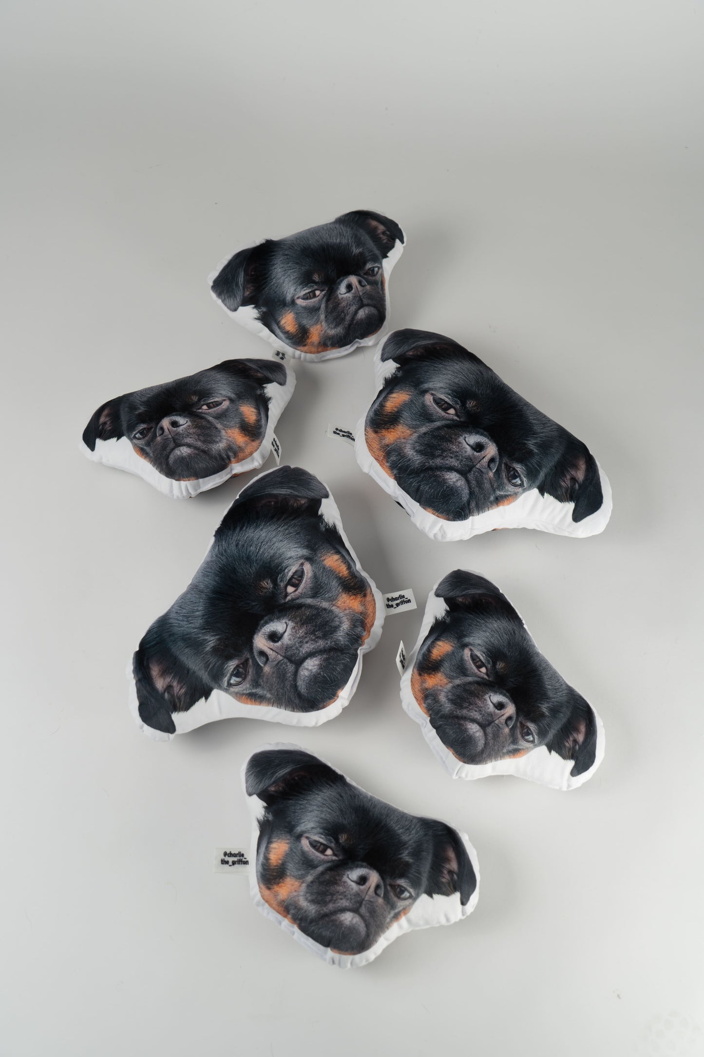 Charlie Griffon Head-Shaped Pillow