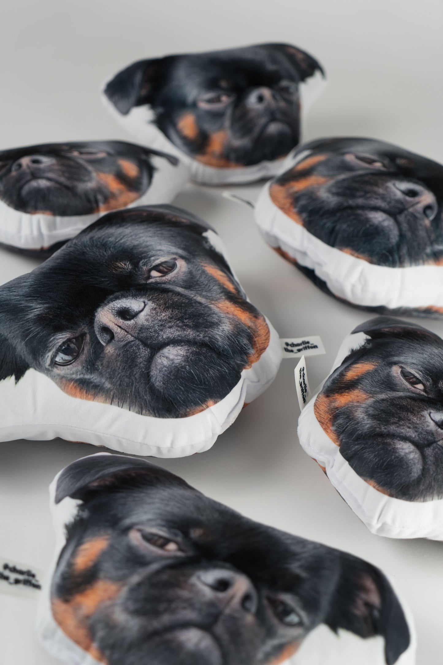 Charlie Griffon Head-Shaped Pillow