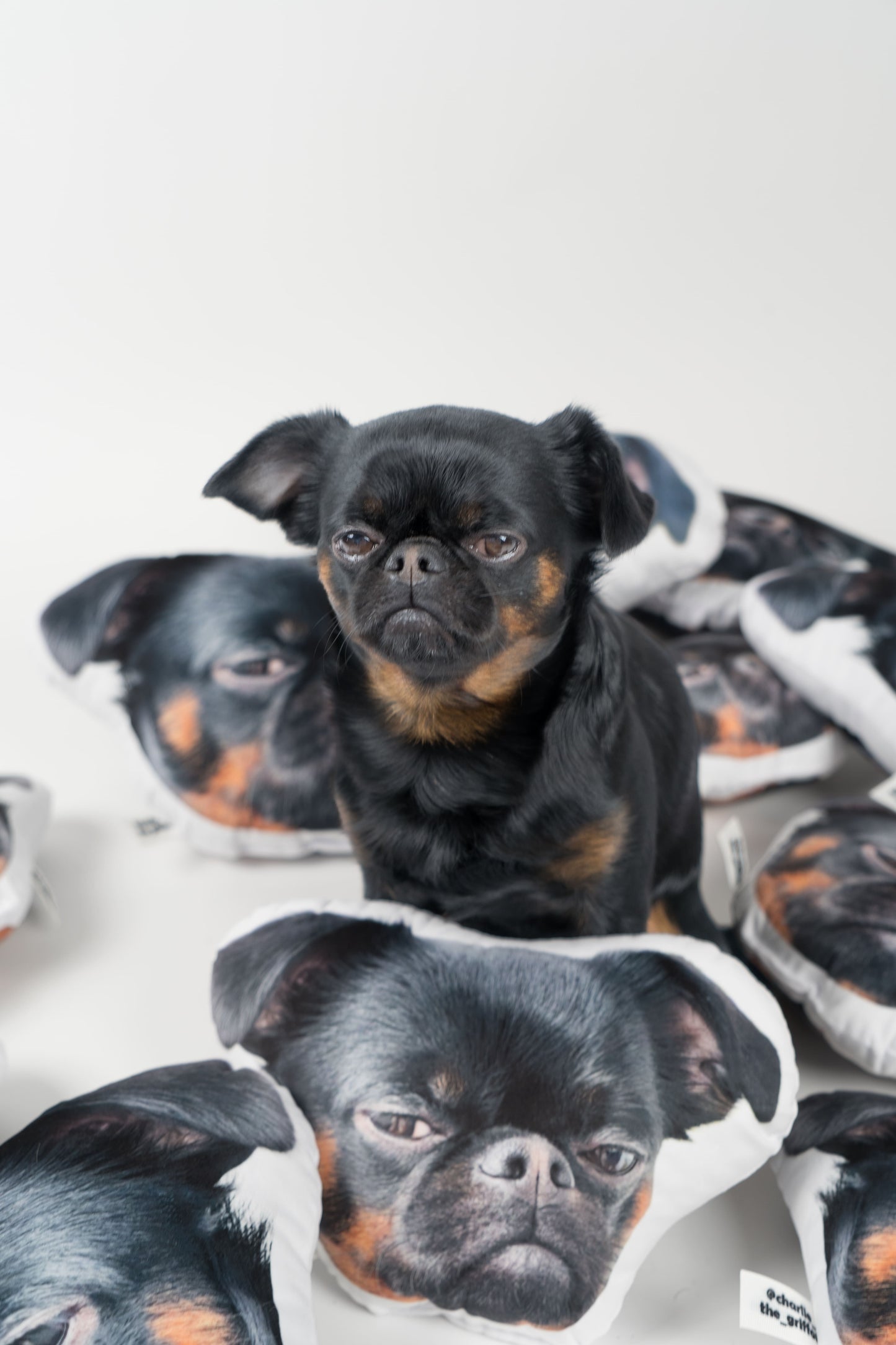 Charlie Griffon Head-Shaped Pillow