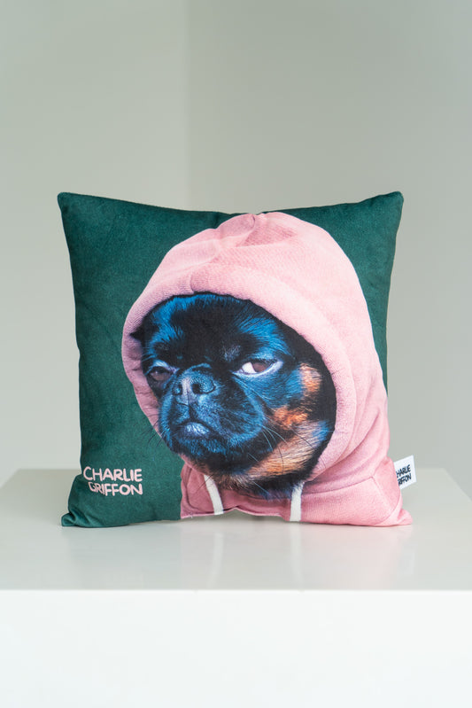 Charlie Griffon Side Eye Judgment Face in Hoodie Pillow