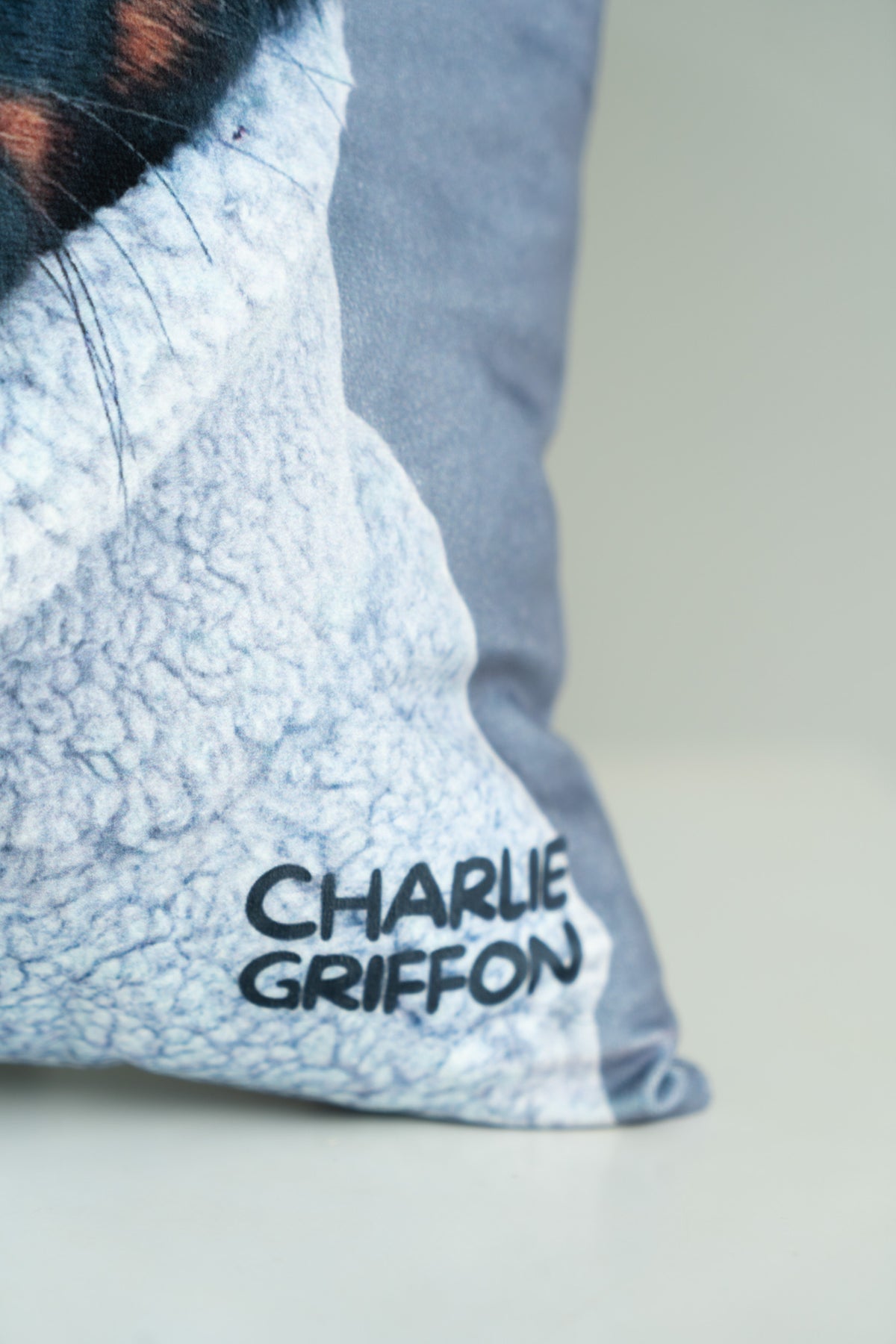 Квадратна Двостороння Подушка Charlie Griffon