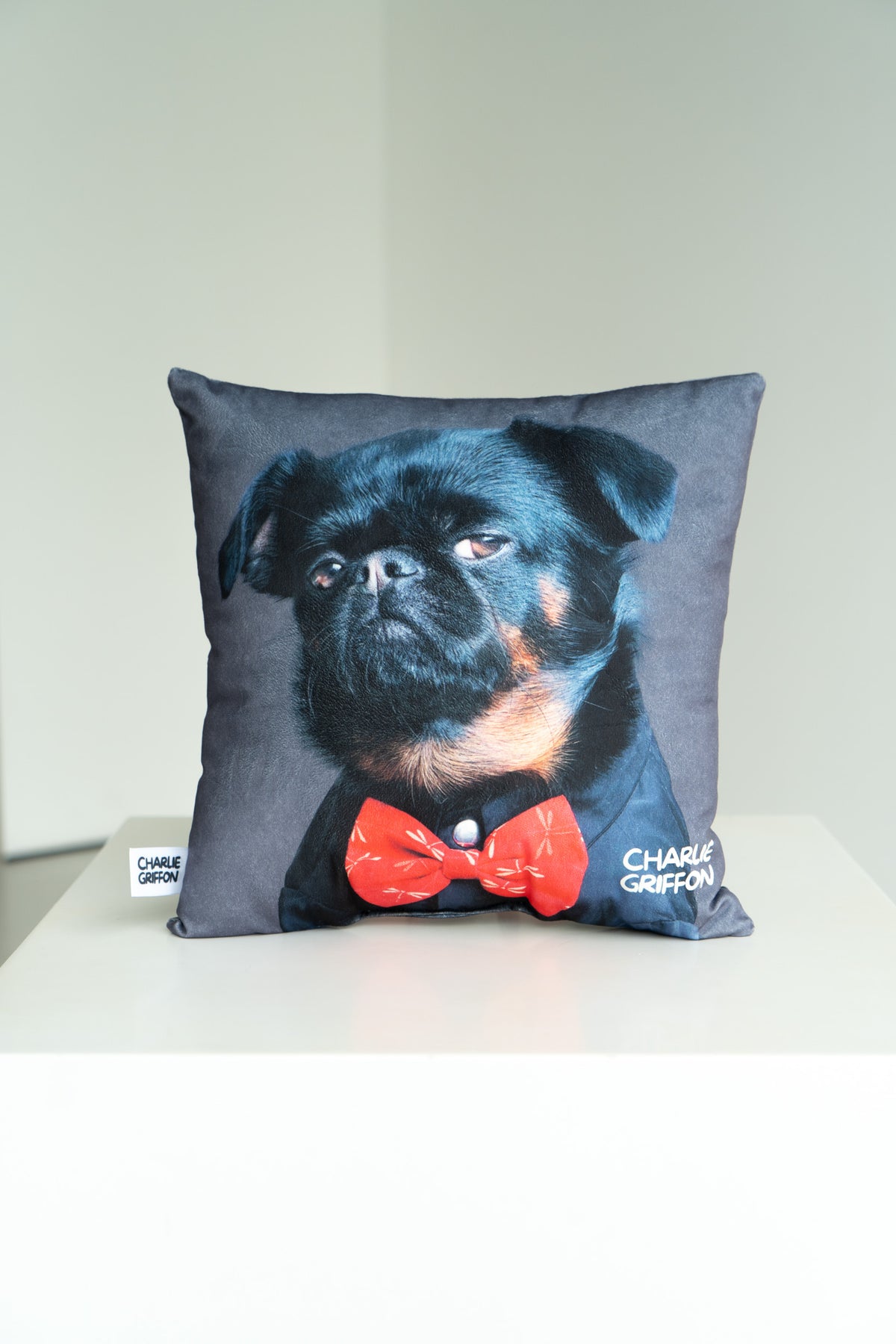 Charlie Griffon Elegant Two-Sided Throw Pillow — Judgment Face Dog Meme Cushion