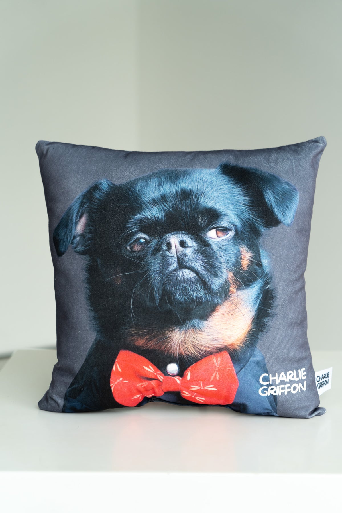 Charlie Griffon Elegant Two-Sided Throw Pillow — Judgment Face Dog Meme Cushion