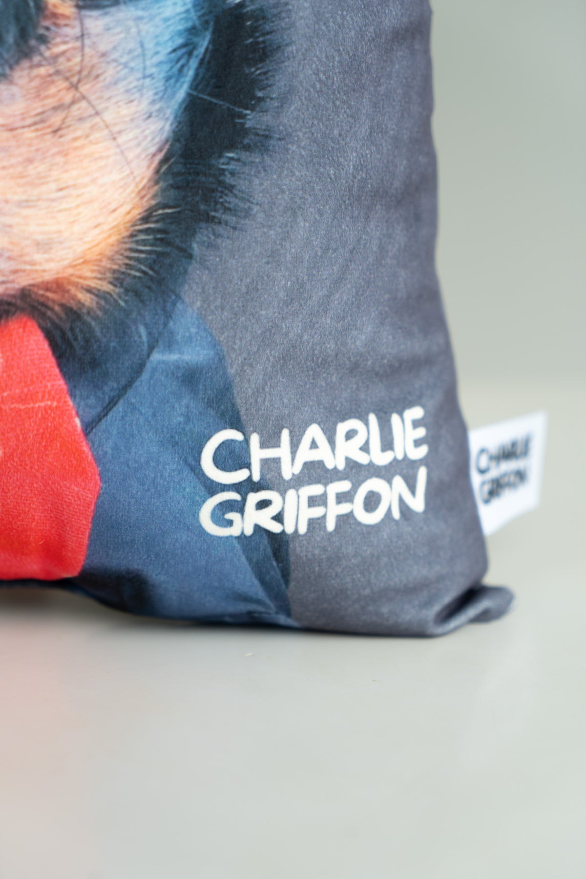 Charlie Griffon Elegant Two-Sided Throw Pillow — Judgment Face Dog Meme Cushion