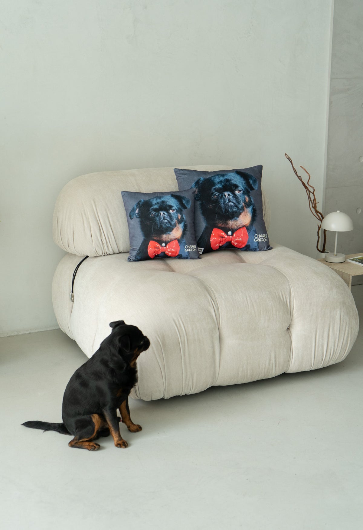 Charlie Griffon Elegant Two-Sided Throw Pillow — Judgment Face Dog Meme Cushion