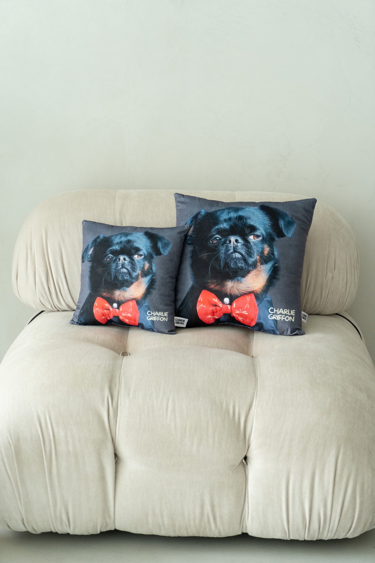 Charlie Griffon Elegant Two-Sided Throw Pillow — Judgment Face Dog Meme Cushion