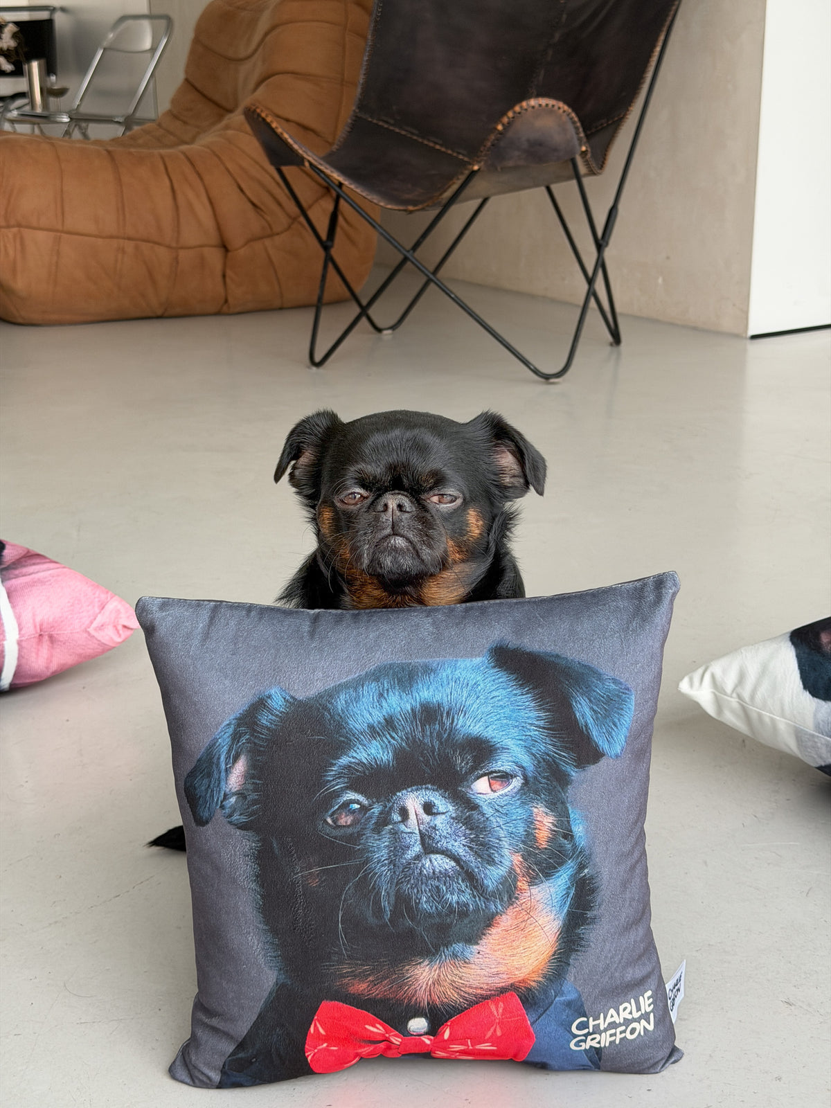 Charlie Griffon Elegant Two-Sided Throw Pillow — Judgment Face Dog Meme Cushion