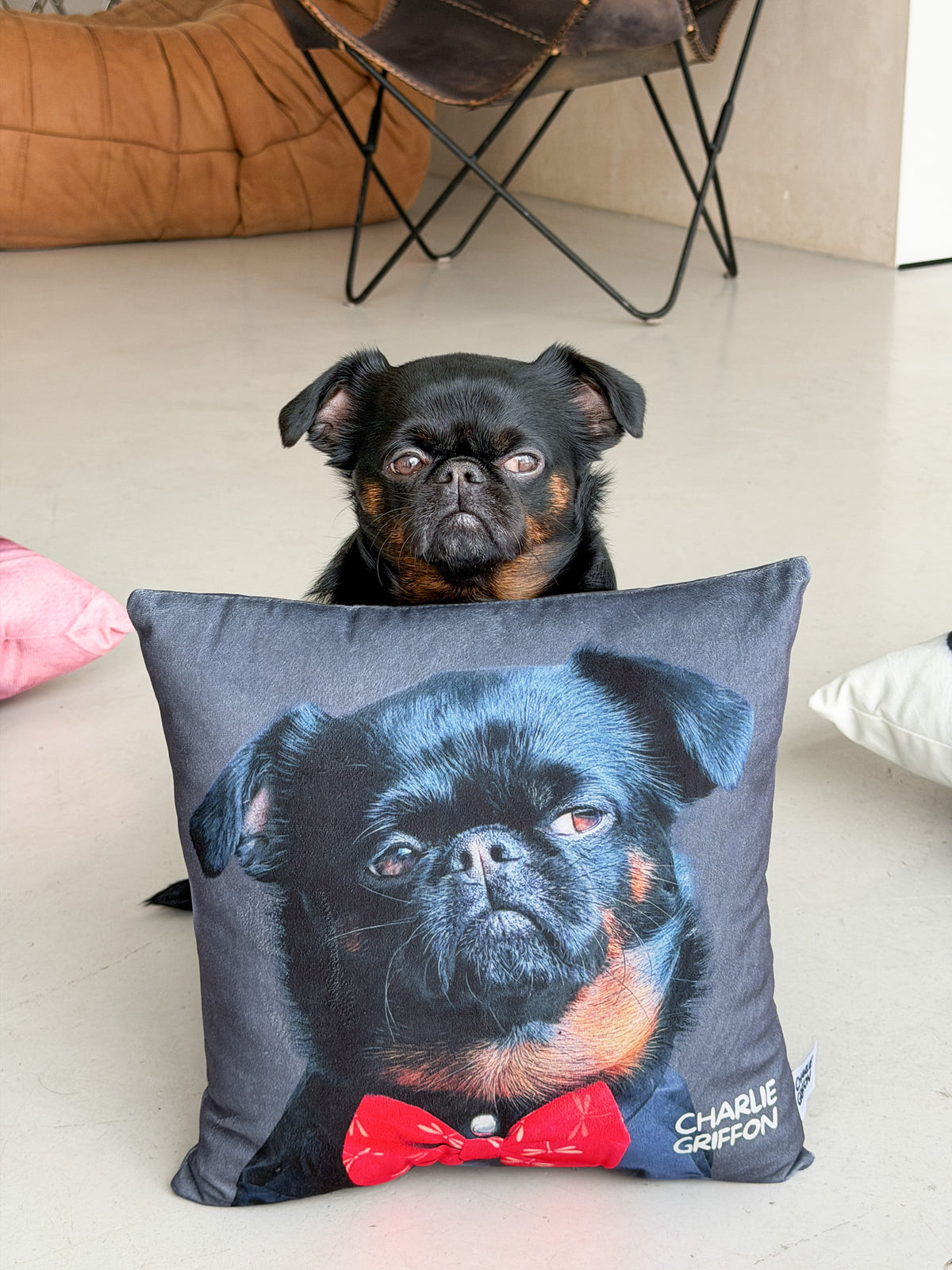 Charlie Griffon Elegant Two-Sided Throw Pillow — Judgment Face Dog Meme Cushion