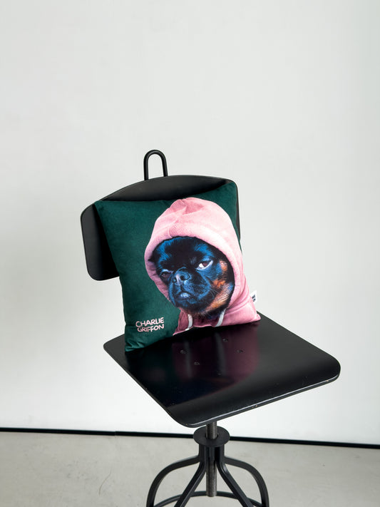Charlie Griffon Side Eye Judgment Face in Hoodie Pillow